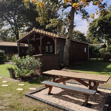 Chalet Prestige Au Coeur Du Bassin D'Arcachon La Teste-de-Buch Ngoại thất bức ảnh