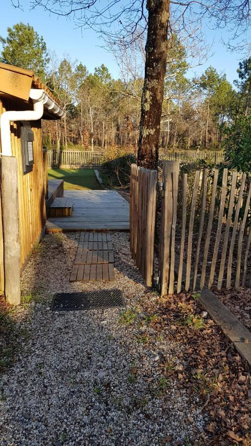Chalet Prestige Au Coeur Du Bassin D'Arcachon La Teste-de-Buch Ngoại thất bức ảnh