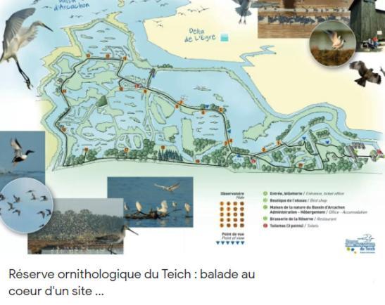Chalet Prestige Au Coeur Du Bassin D'Arcachon La Teste-de-Buch Ngoại thất bức ảnh